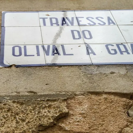 Lejlighed Cozy And Spacious In Graca,