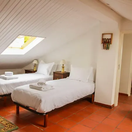 Cozy And Spacious In Graca, Apartment *